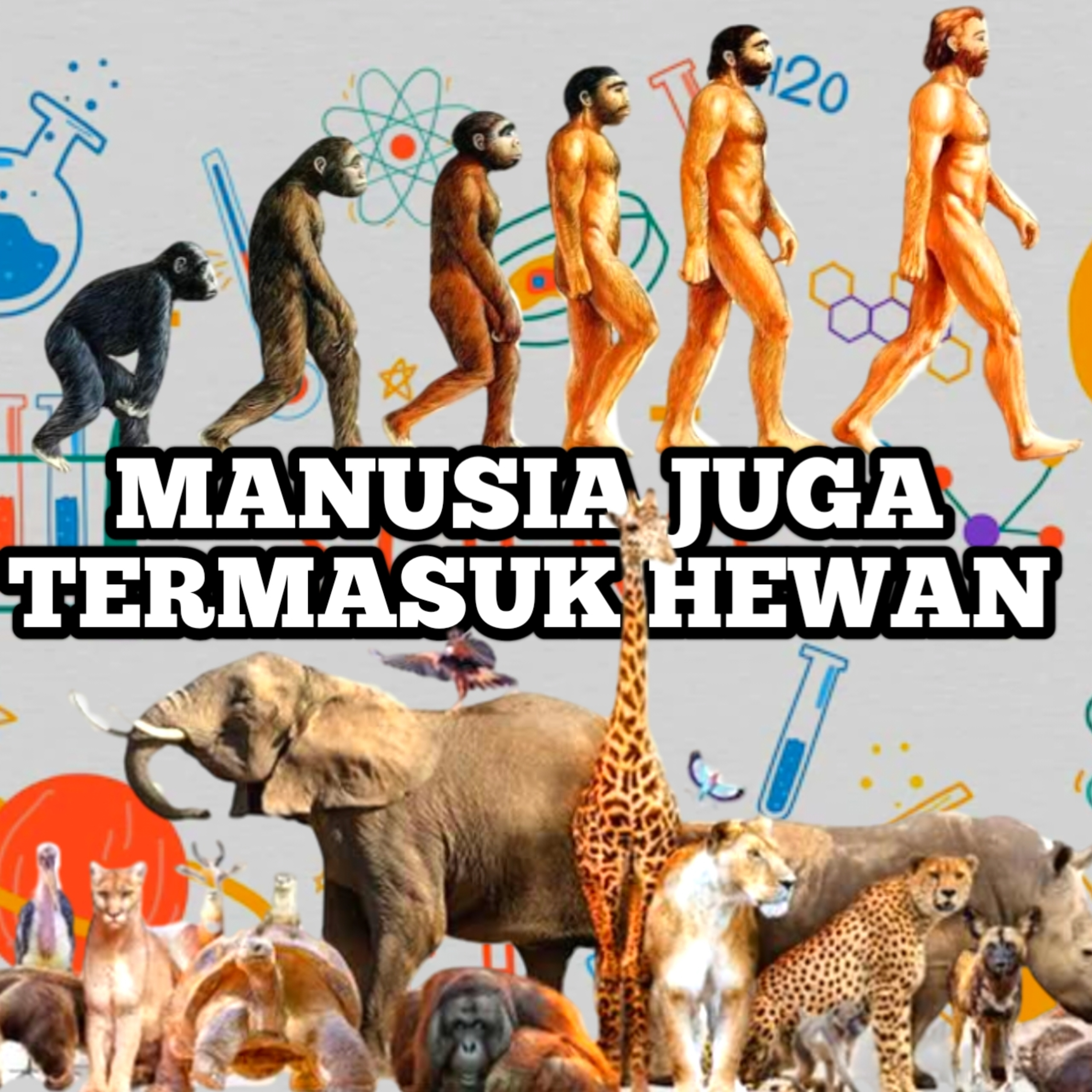 Eps 4: Manusia sebenarnya adalah termasuk hewan juga cover art