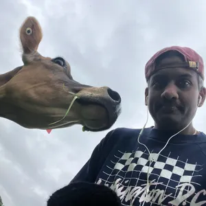 Raw milk is having a mooment cover art