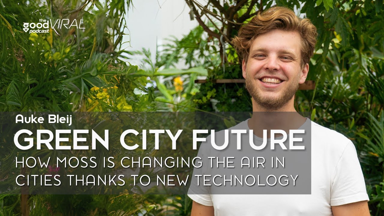 Cities can Have the Cleanest Air with this Little Plant cover art