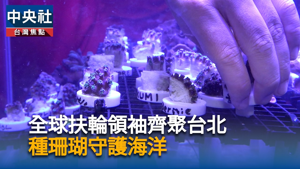 全球扶輪領袖齊聚台北 種珊瑚守護海洋|中央社影音新聞 cover art