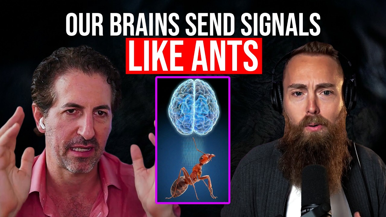 How Our Brains are Wired Together with Moran Cerf, Neuroscientist & Professor cover art