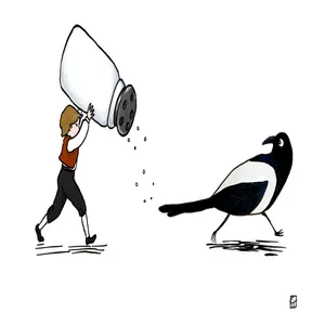 'The Magpie With Salt On Her Tail'  | feat. Rachael Harris and Taran Kilam cover art