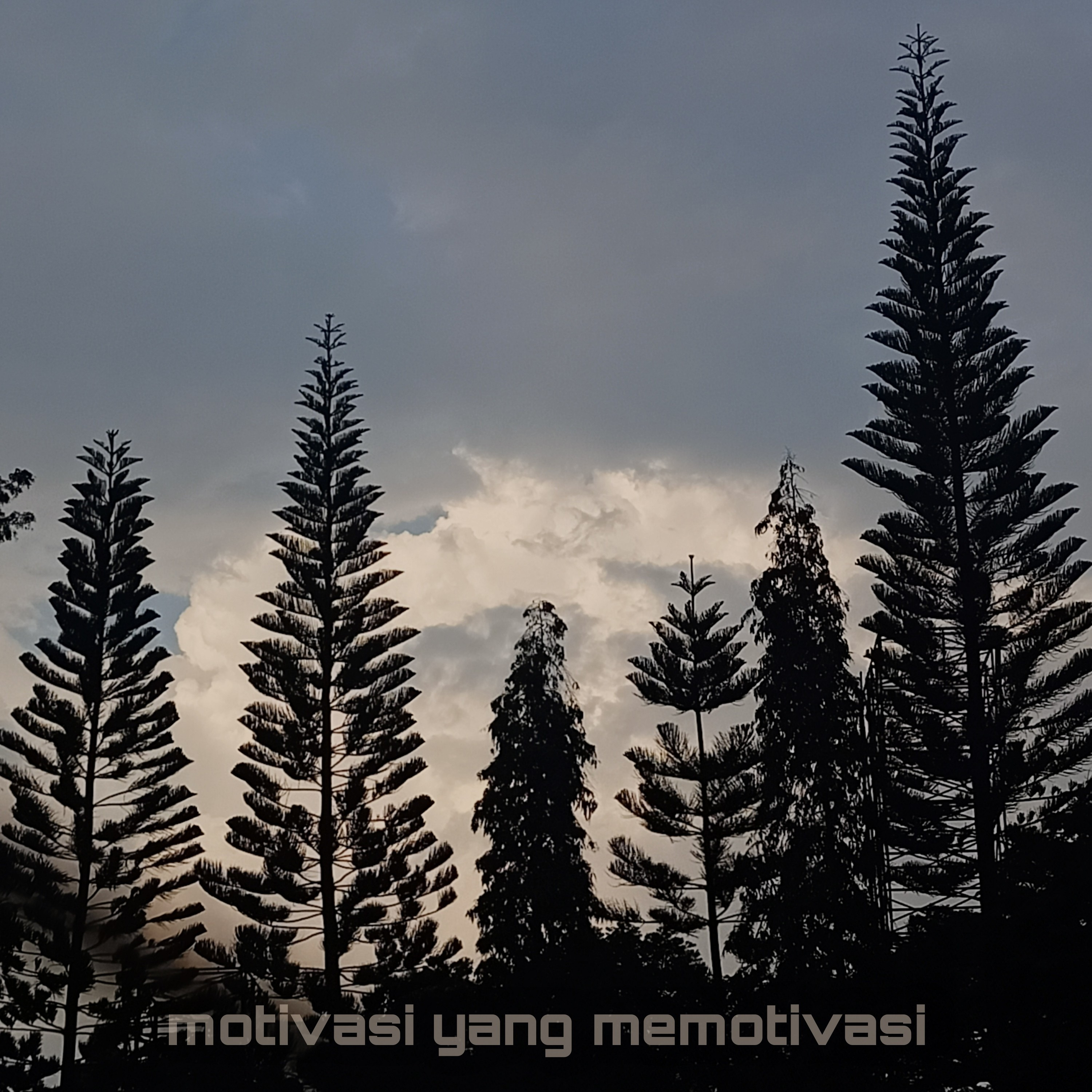 Motivasi yang memotivasi #5 cover art