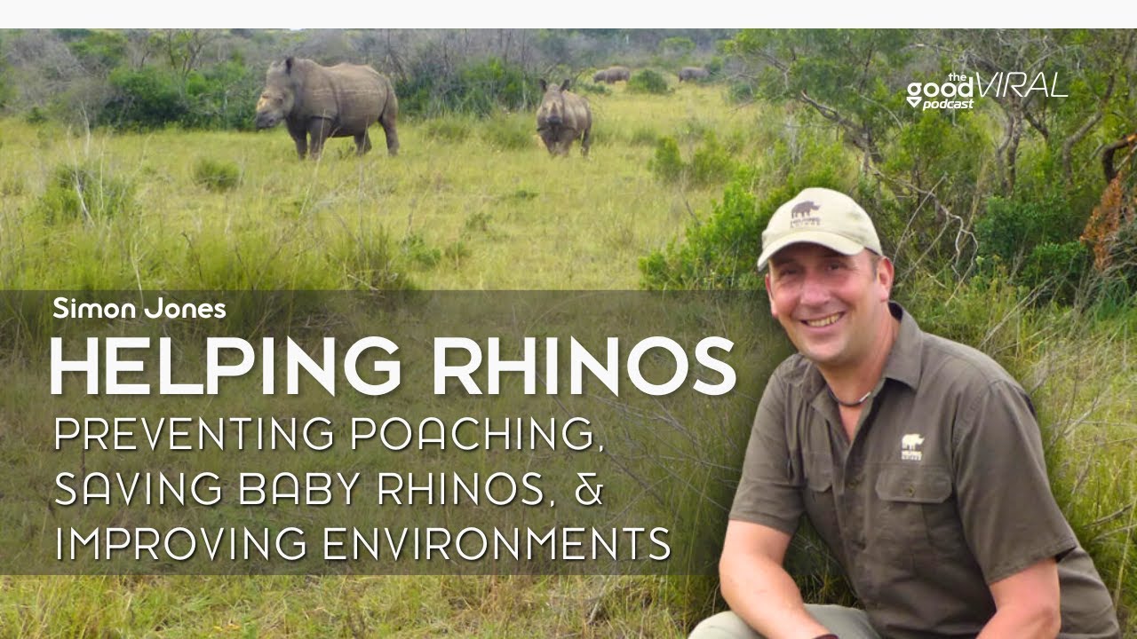 They Kill Rhinos for This?! What You Didn’t Know About Poaching & Black Market Trade cover art