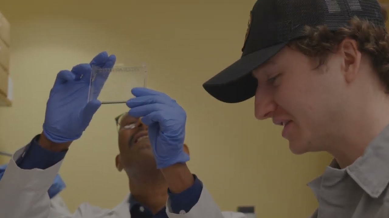 Research Opportunities at Colgate University cover art