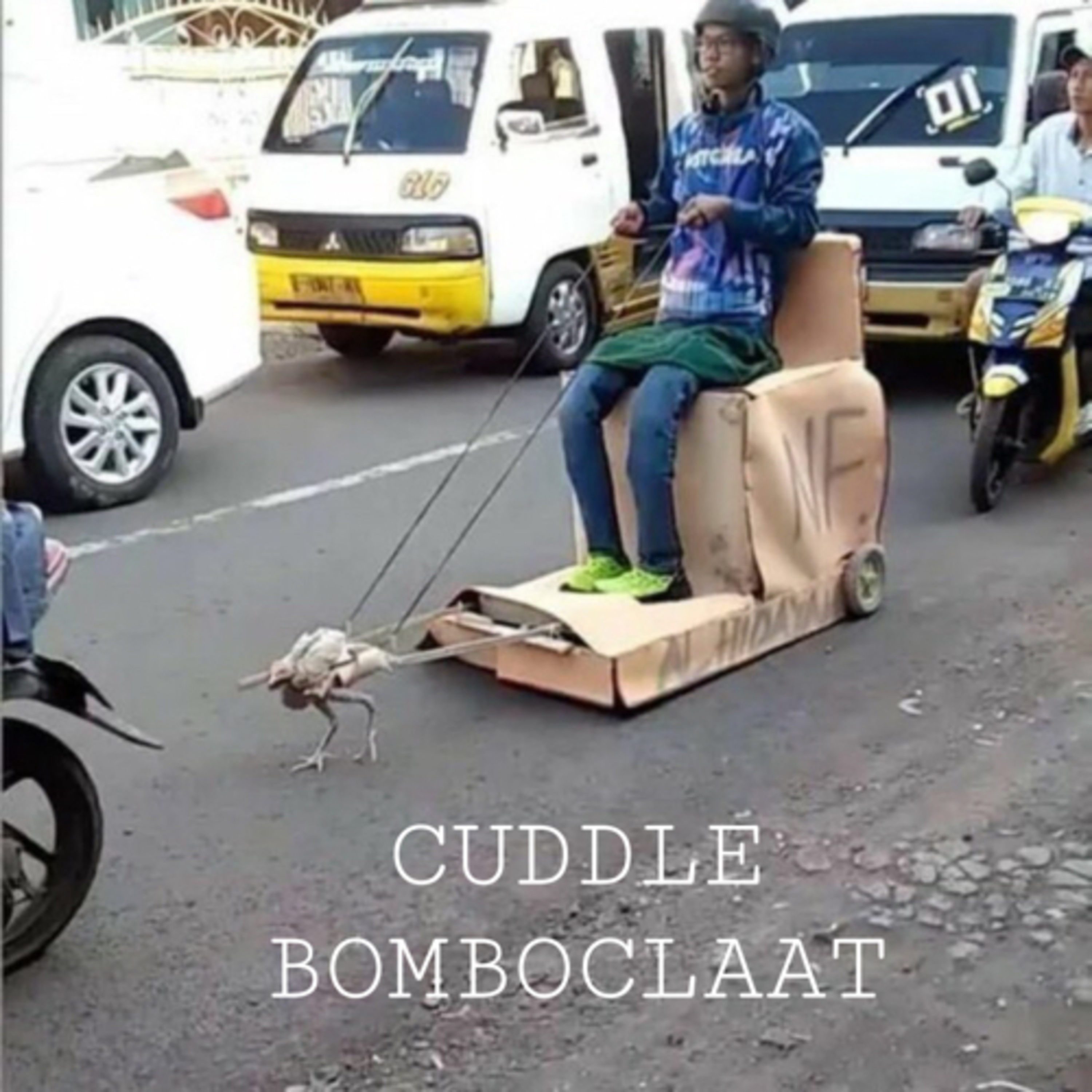 CUDDLE BOMBOCLAAT