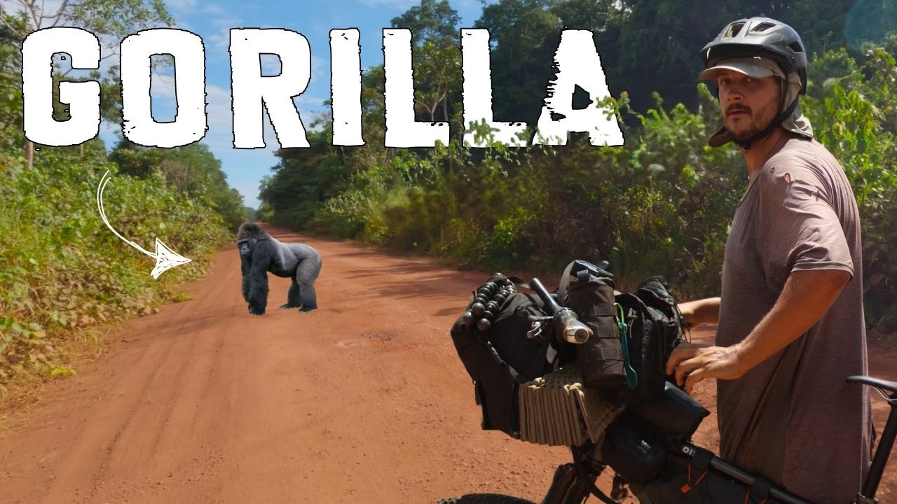 I Almost Hit a Wild GORILLA While Cycling The CONGO Jungle π¨π¬ | S1, EP15 cover art
