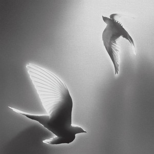 letdown cover art