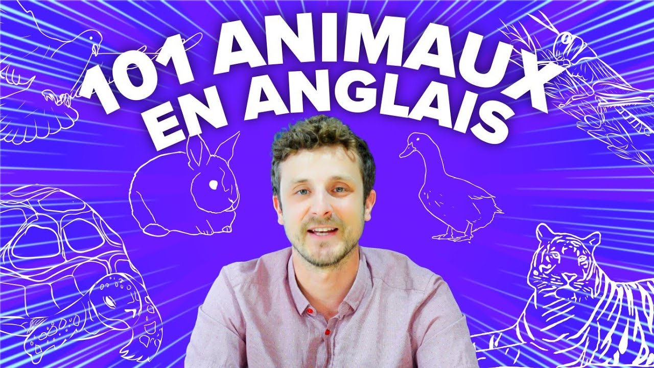 101 Noms des Animaux en Anglais | Prononciation authentique pour chaque mot. cover art