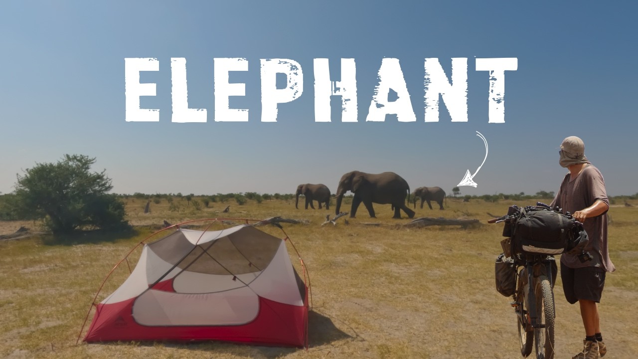 CAMPING with ELEPHANTS on a Bikepacking Journey Across Botswana π§πΌ | S1, EP6 cover art