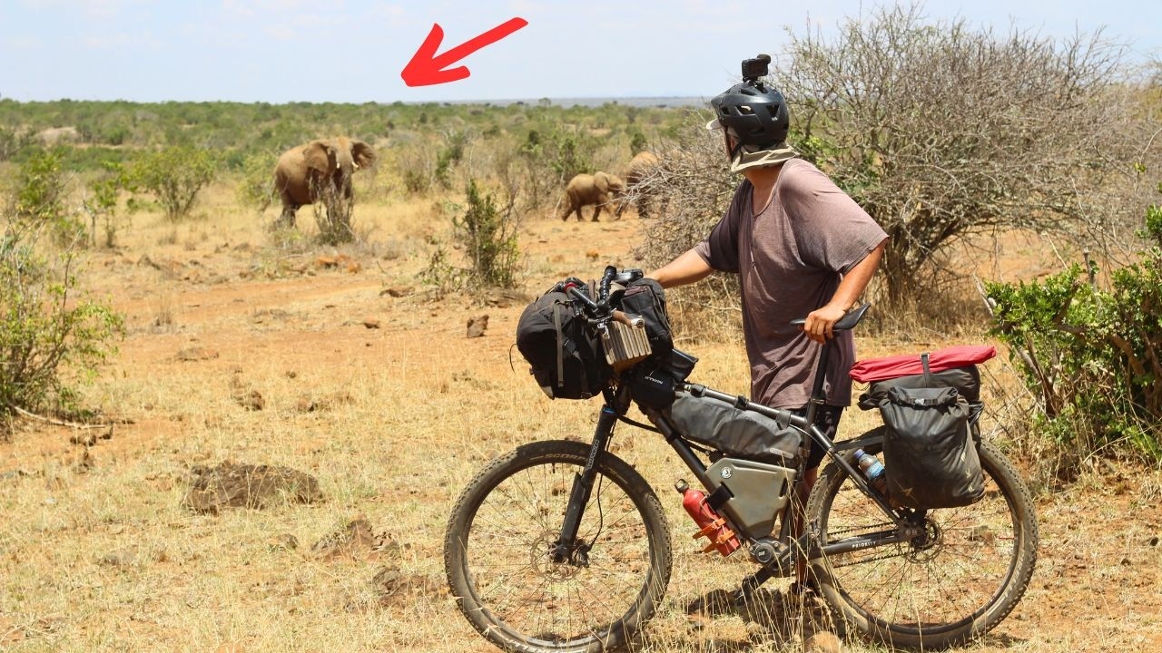 Charged by an Elephant While Cycling Through Kenya π°πͺ | S1, EP13 cover art