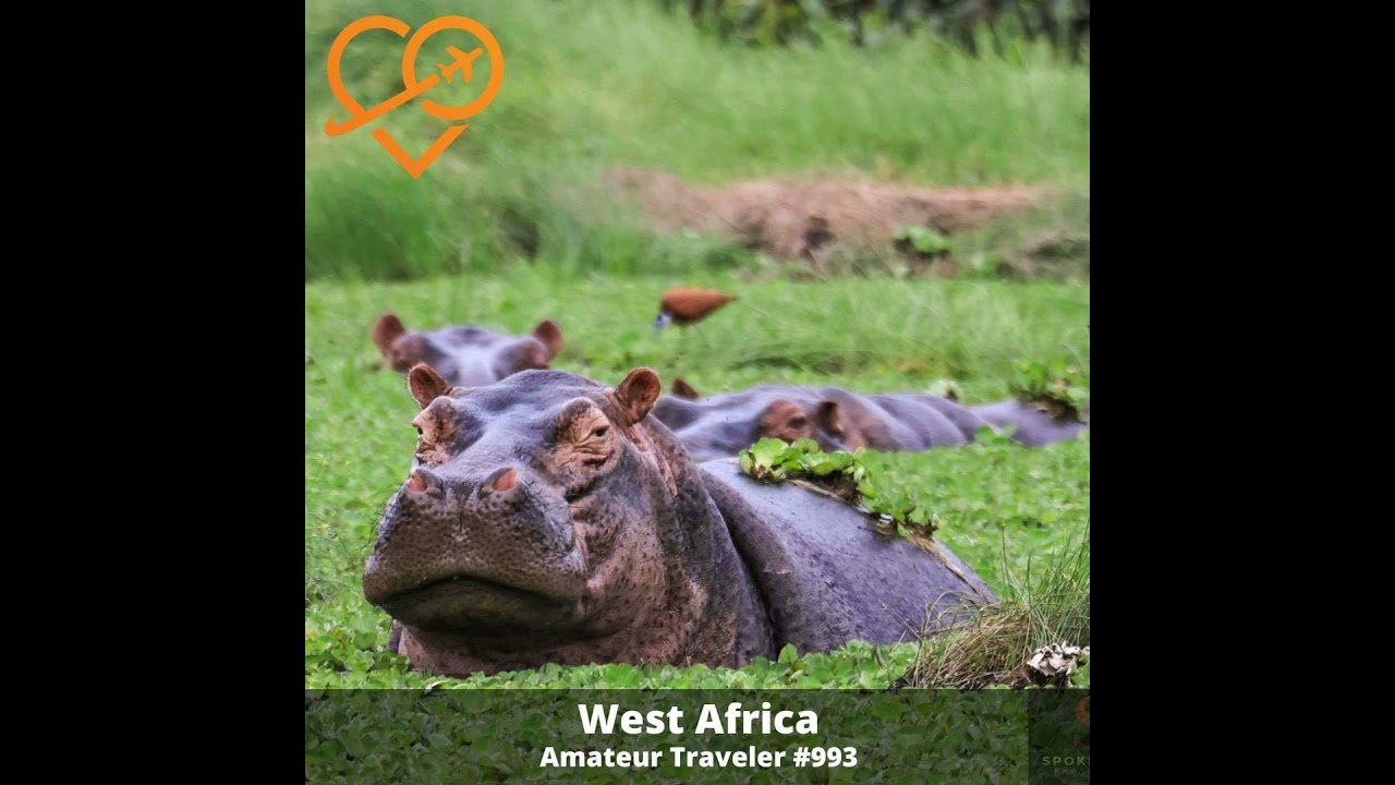 AT#993 - Travel to West Africa (Senegal, The Gambia, Guinea-Bissau) cover art