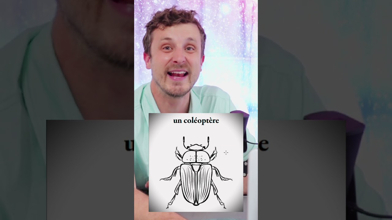 Even being fluent in French, Trying to Pronounce French Animals is still like... cover art