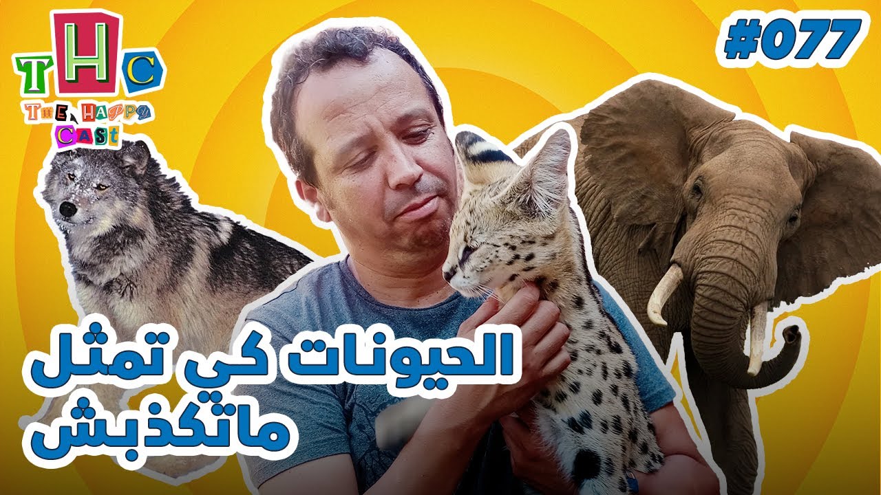 Wild Encounters, Animal Training Tales 🐾  & Fighting Cancer  | Mohamed Attia | The Happy Cast #077 cover art