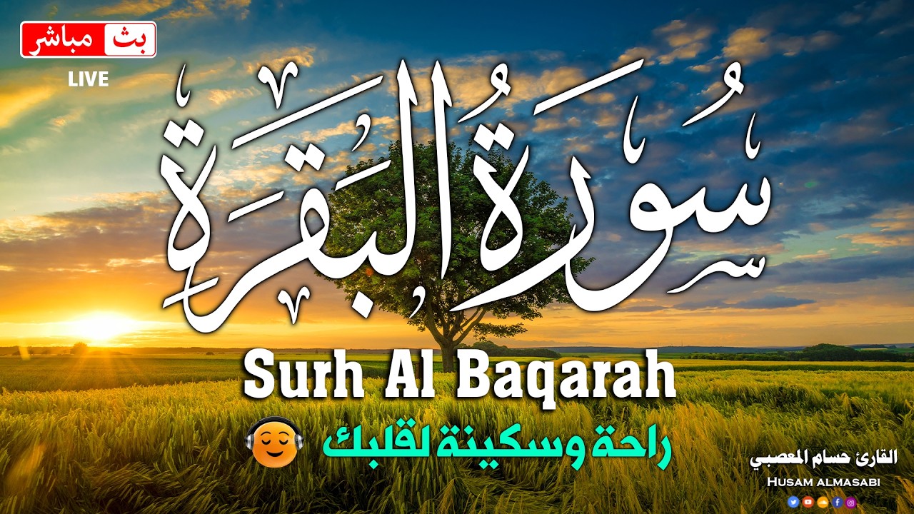 سورة البقره كامله HD قرآن كريم بصوت جميل لتحصين المنزل وجلب البركه-Surah Al- Baqara Quran Recitation cover art