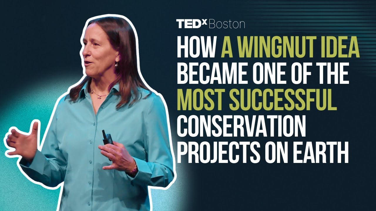 Wildlife need room to roam. It's time to rethink conservation at scale. | Jodi Hilty | TEDxBoston cover art