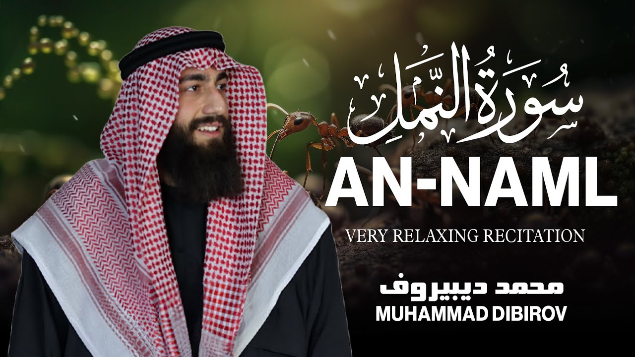 تلاوة مميزة من أجمل التلاوات 🎧❤️ من سورة النمل (وتفقد الطير فقال....) || القارئ محمد ديبيروف [ HD ] cover art
