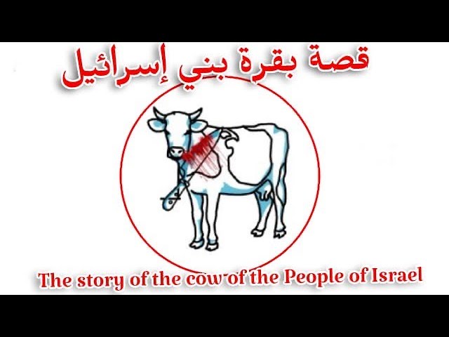 قصة البقرة من سورة البقرة بالشرح HD  | القارئ اسلام صبحي cover art
