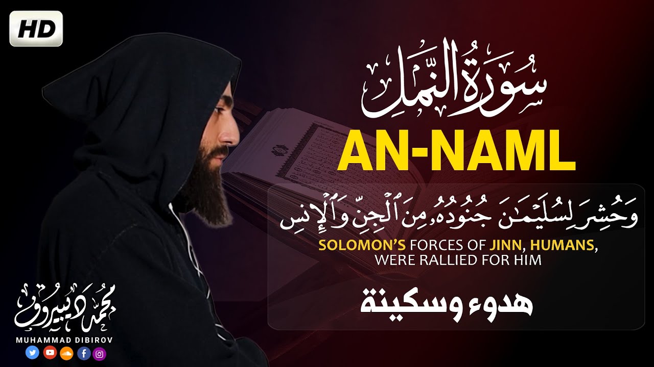 تلاوة تهزّ القلوب من سورة النمل 😢﴿وحُشر لسليمان جنوده…﴾ | بصوت القارئ محمد ديبيروف cover art