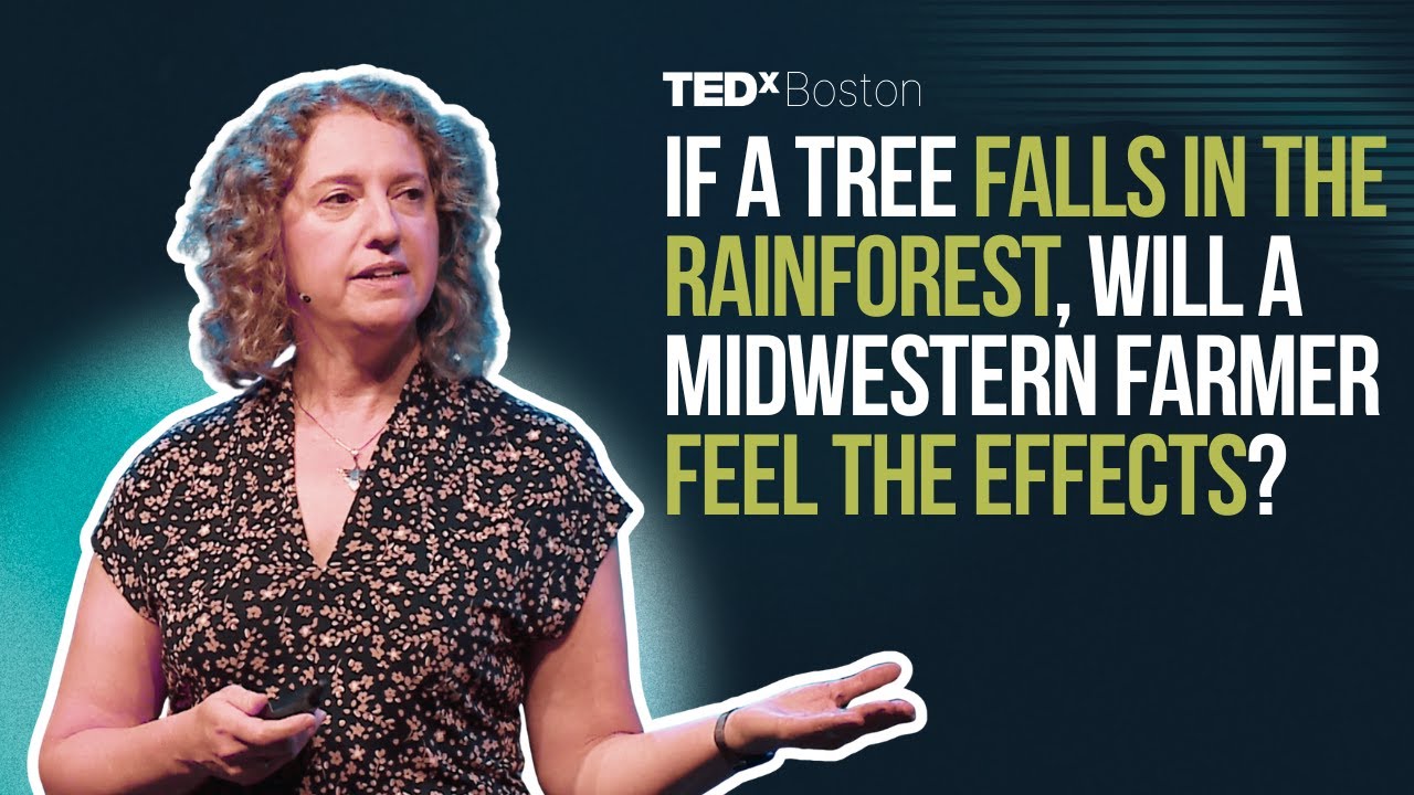 We broke the rain meddling with the planet's cooling system. What now? | Erica Gies | TEDxBoston cover art