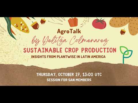 SAN AgroTalk | Sustainable Crop Production: Insights from Plantwise in Latin America cover art