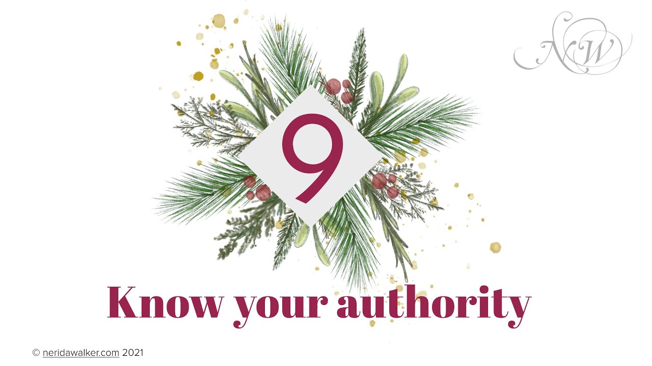 Fruitfulness Day 9 - Know your authority cover art