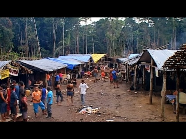 Brazil, the Law of the Jungle | Deadliest Journeys cover art