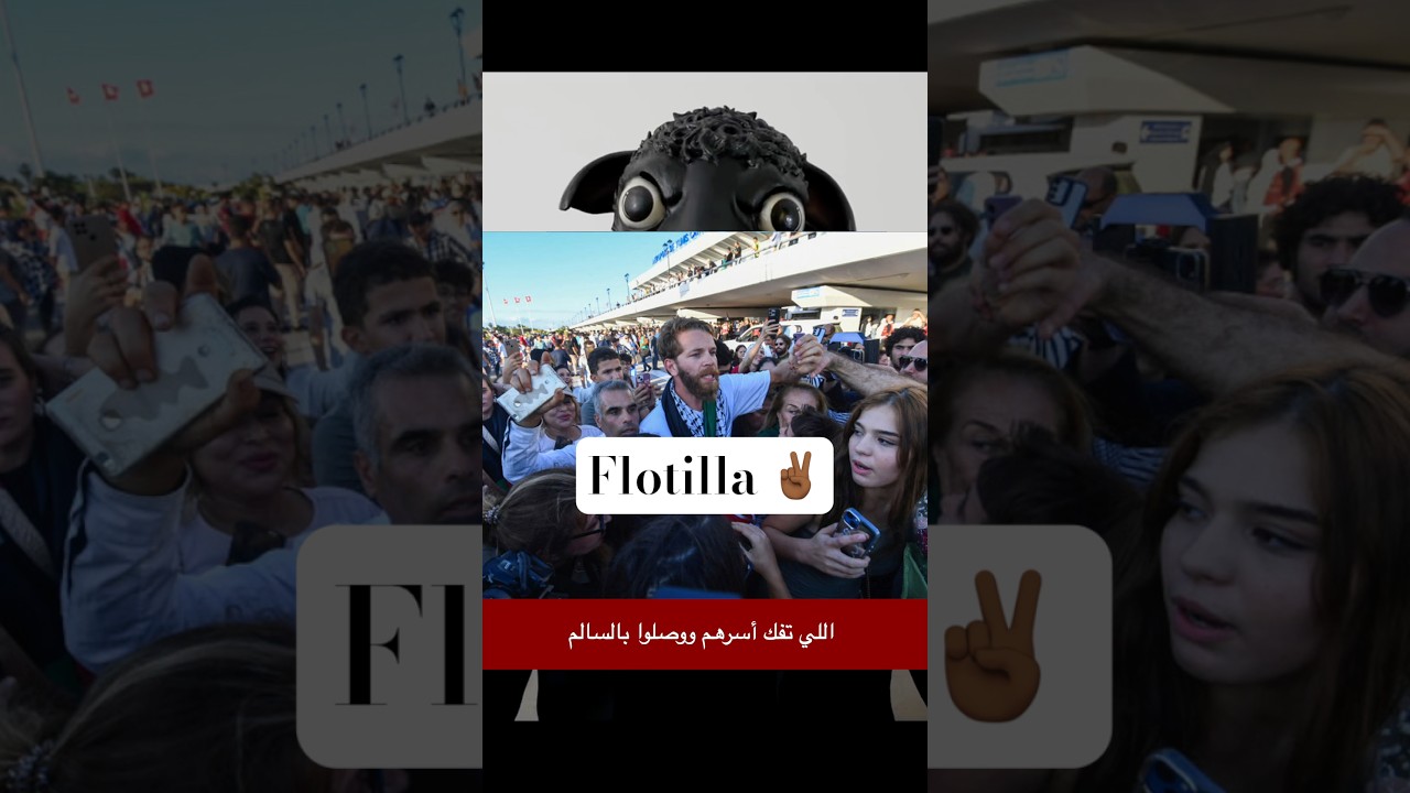 Global Sumud Flotilla cover art
