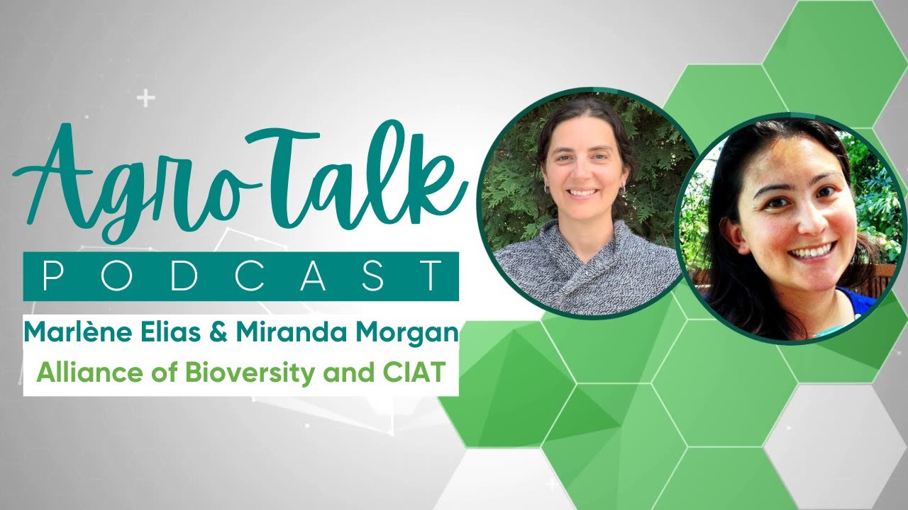AgroTalk Podcast - Gender Monitoring in Agri-Food Systems cover art