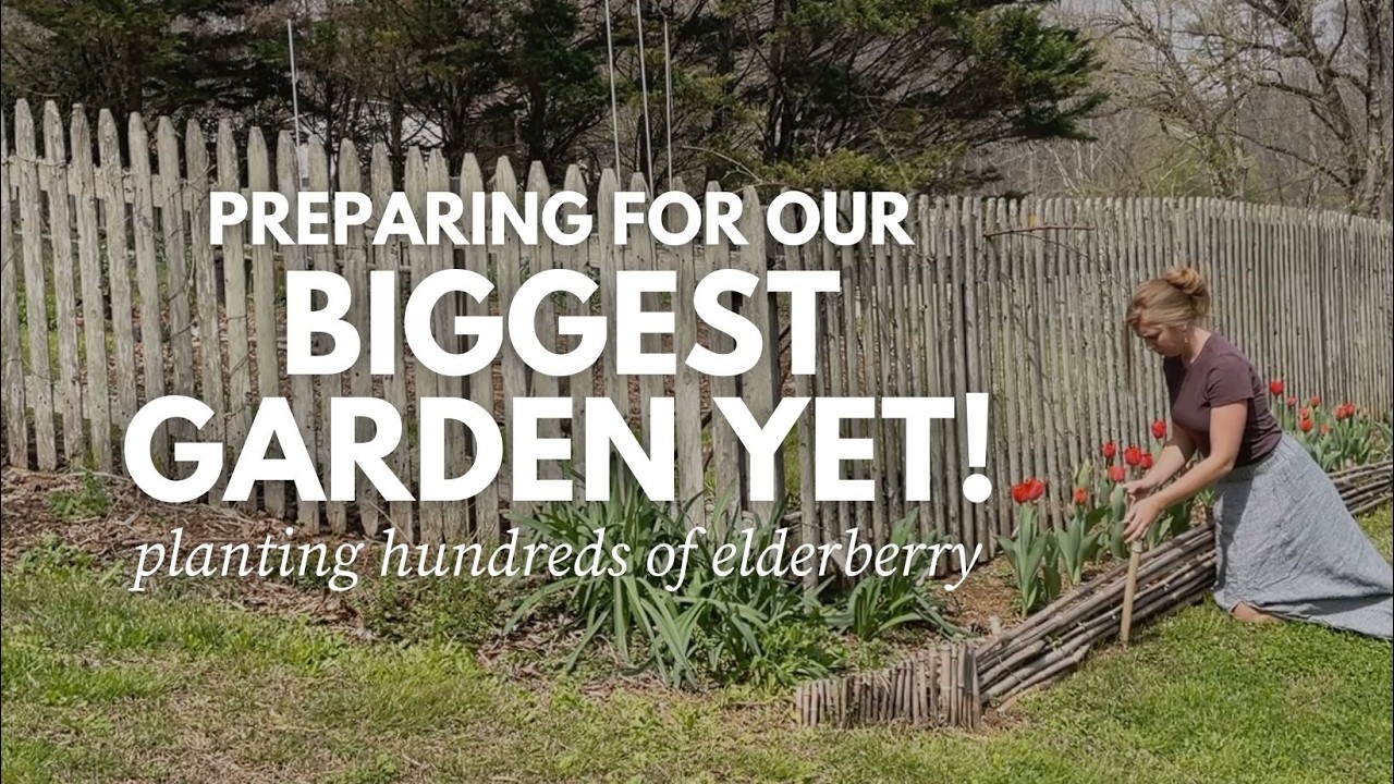 Preparing for our 2026 Cottage Garden!