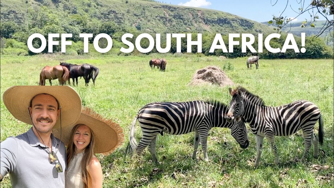 Traveling to the Most Beautiful Place on Earth: South Africa! (my opinion) cover art