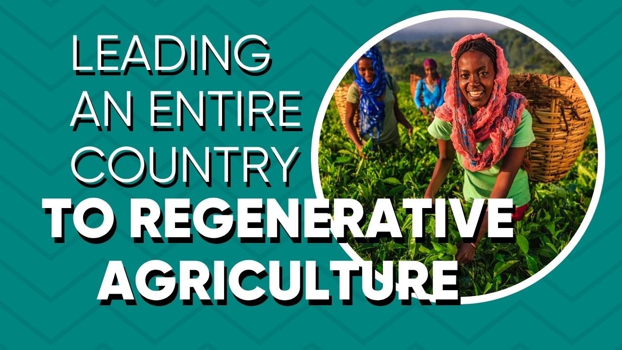 Radical Collaboration Towards Transforming Food Systems in Ethiopia cover art