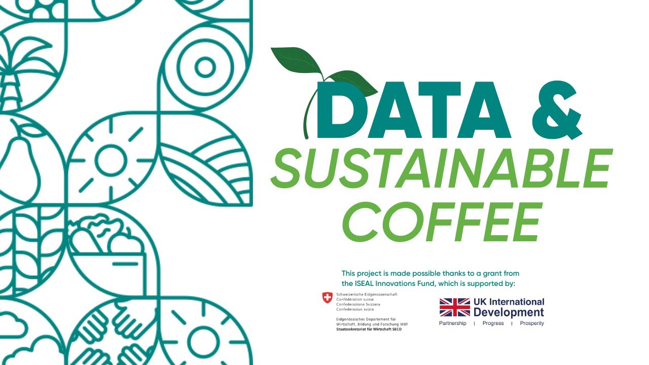 🌱 Community-Based Monitoring for Sustainable Coffee in Colombia | CMAS in Gaitania and Planadas cover art