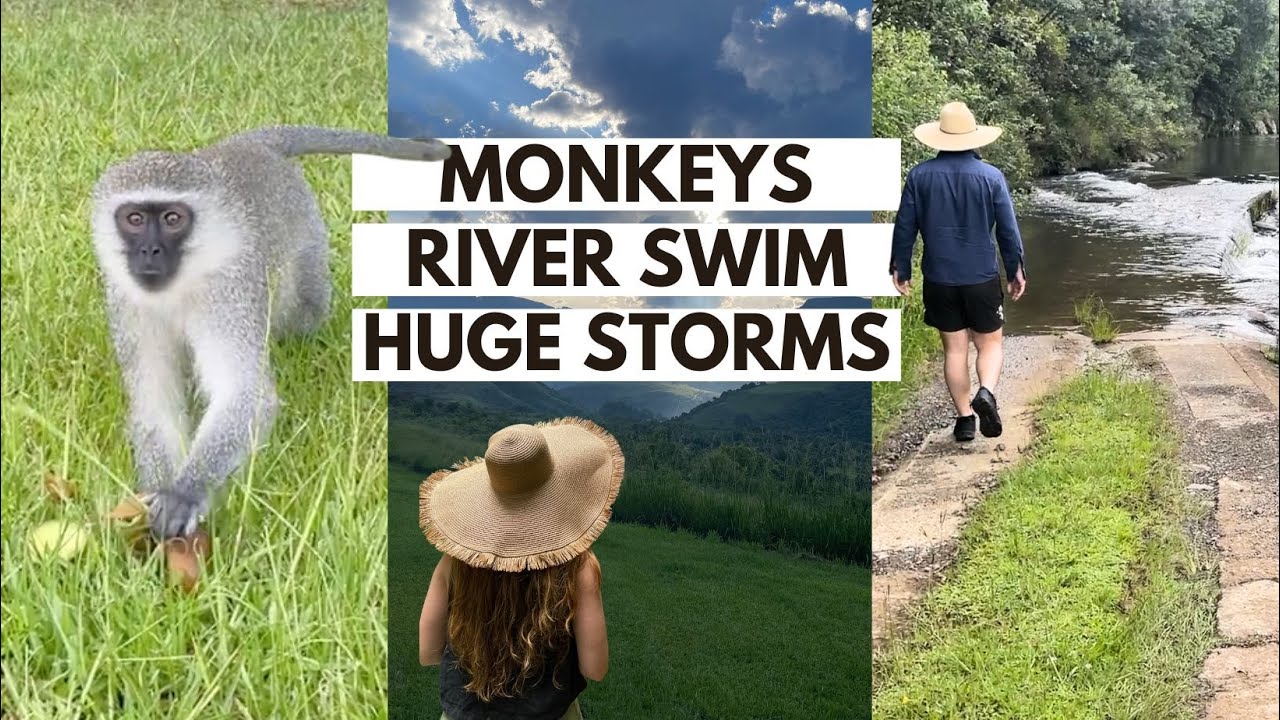 Summer Days in The Drakensberg, South Africa! cover art