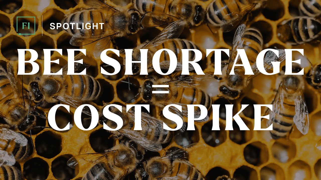 Pollinator Declines: Hidden Cost for Food Businesses
