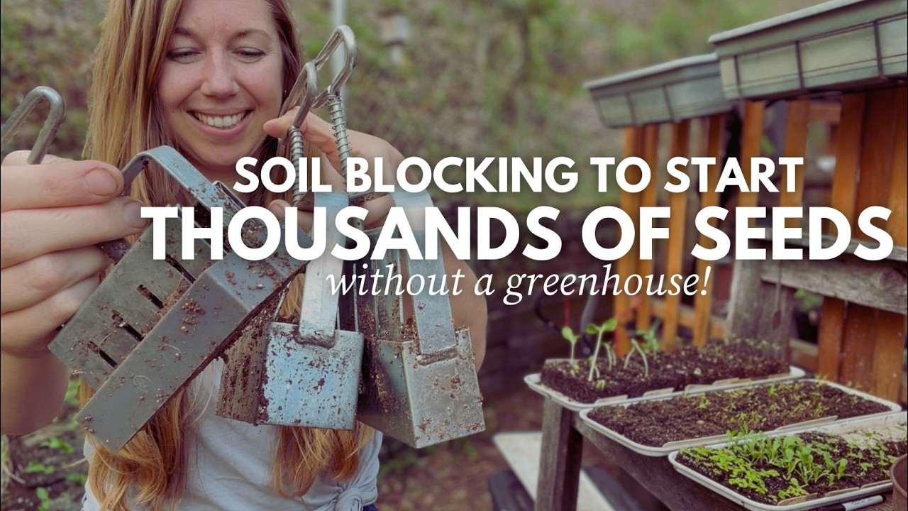 Starting ALL my seeds in Soil Blocks to save space! cover art