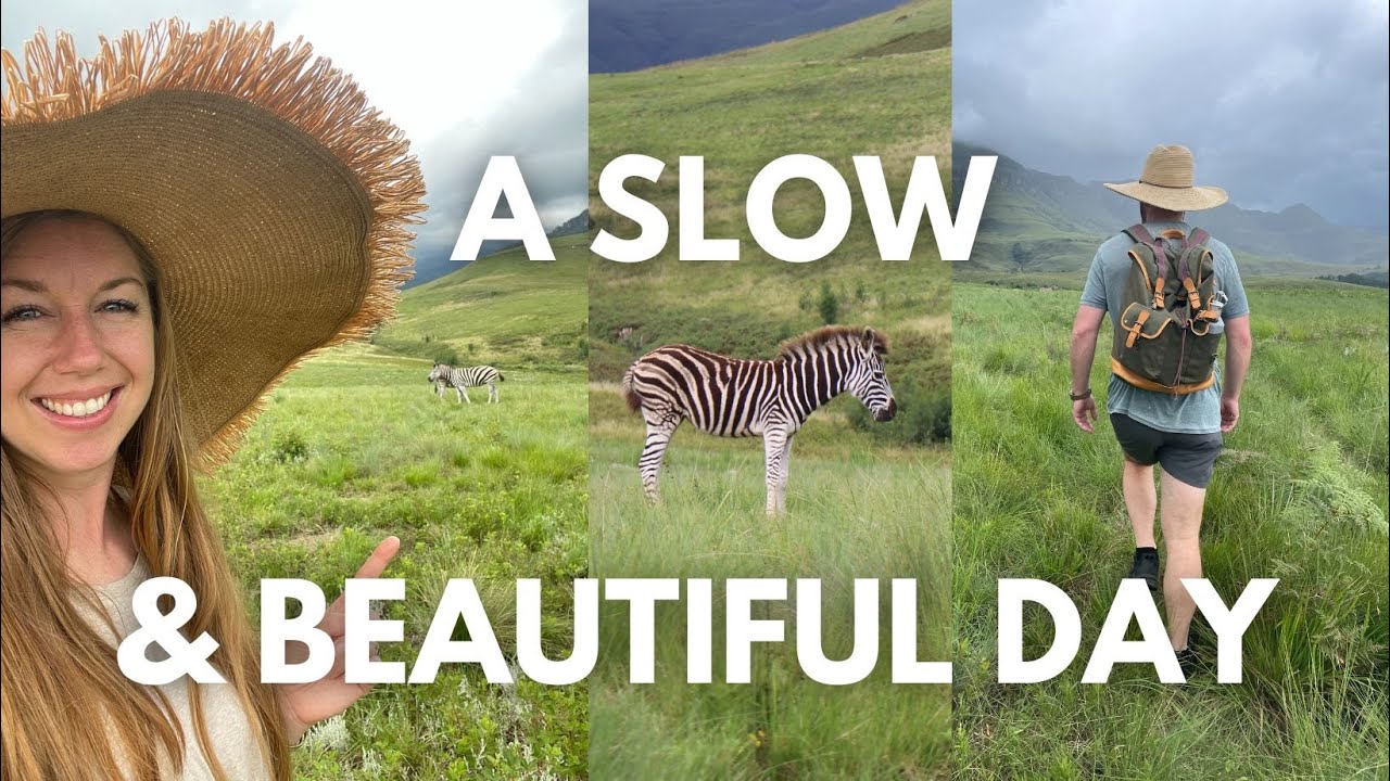 Enjoying God's Creation!! Habit Tracking & Zebra Finding cover art