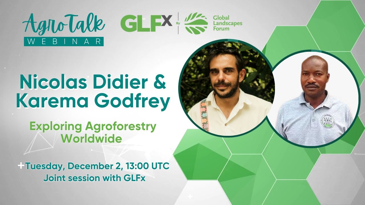 SAN-GLF AgroTalk | Exploring Agroforestry Worldwide cover art