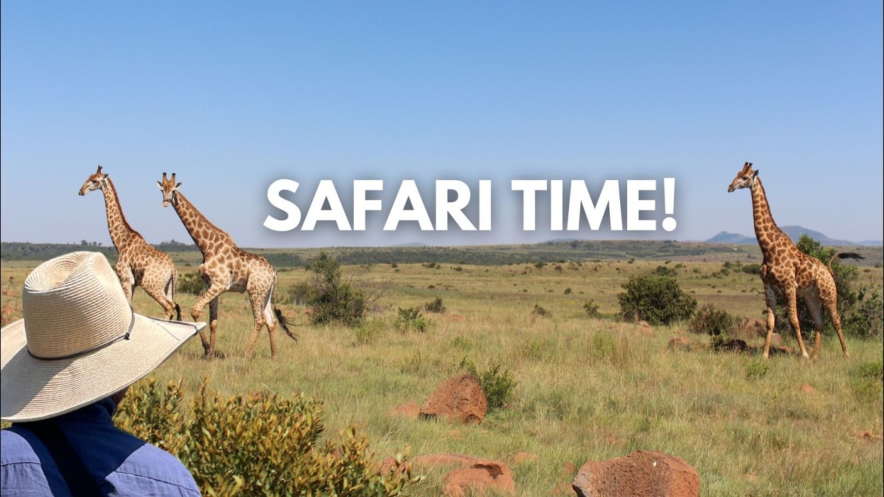 Our South African Safari Adventure! cover art