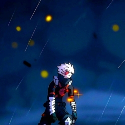 author avatar
