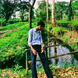 author avatar
