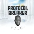 Protocol Breaker