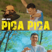 PICA PICA cover art