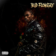 Bud Flowers cover art