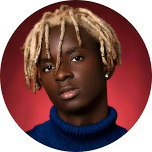 D-voice cover art