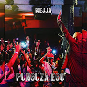 PUNGUZA EGO cover art