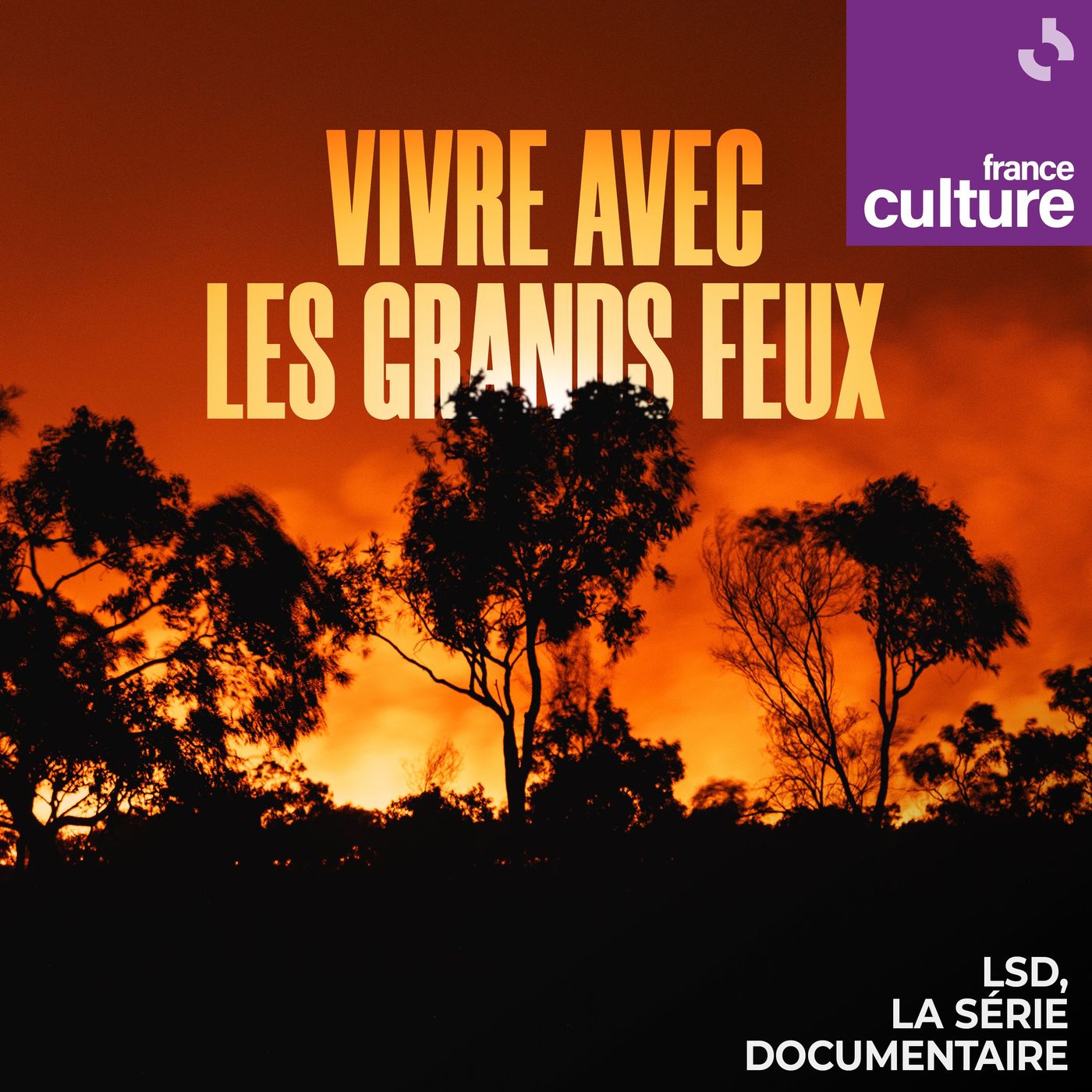Vivre avec les grands feux 2/4 : Nous avons toujours brûlé cover art