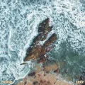 OCEAN