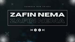 Danmusa New Prince - Zafin nema (Music Audio) cover art