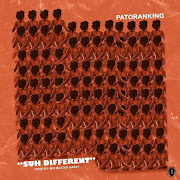 Suh Different cover art